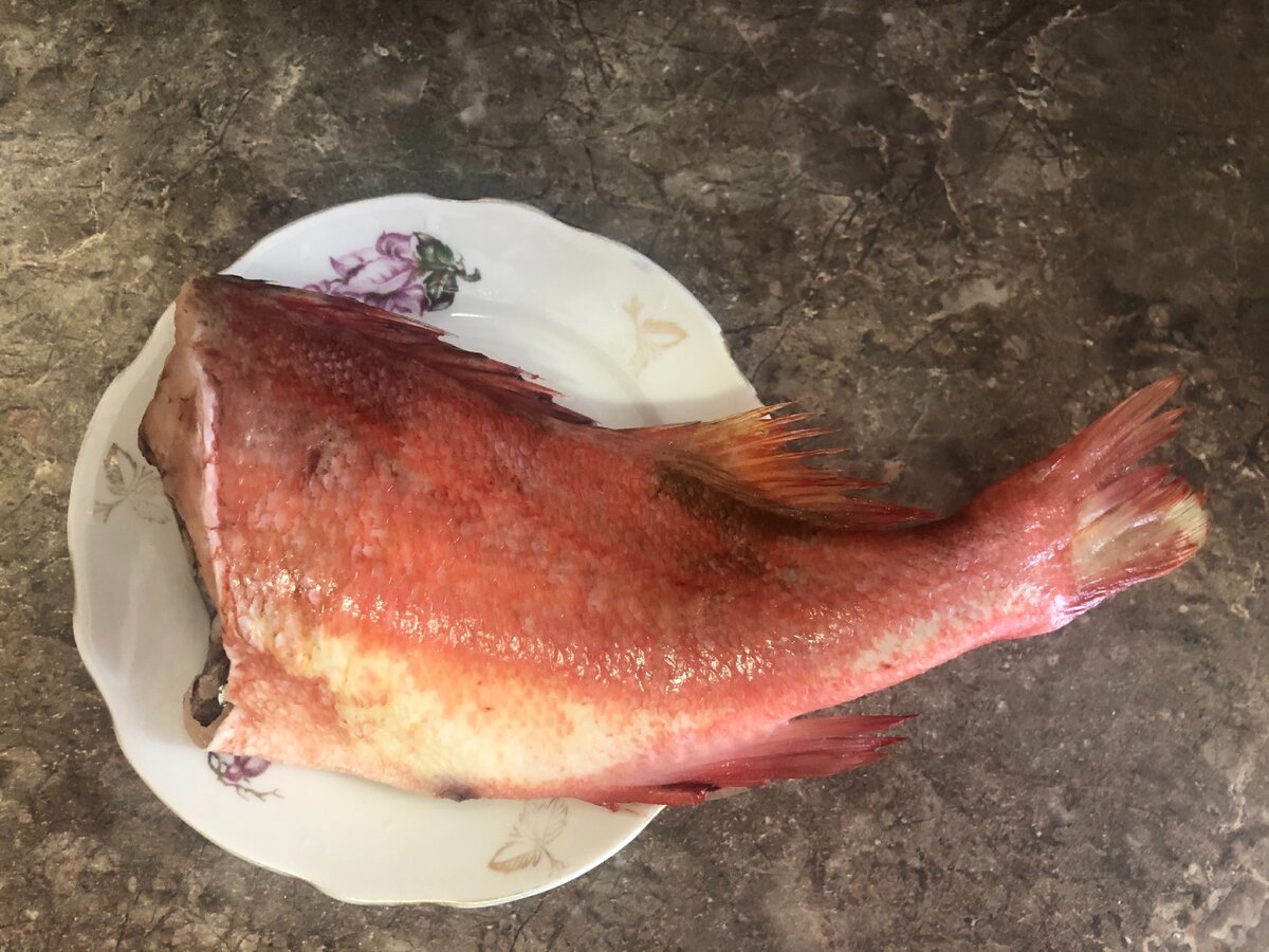 Морской окунь