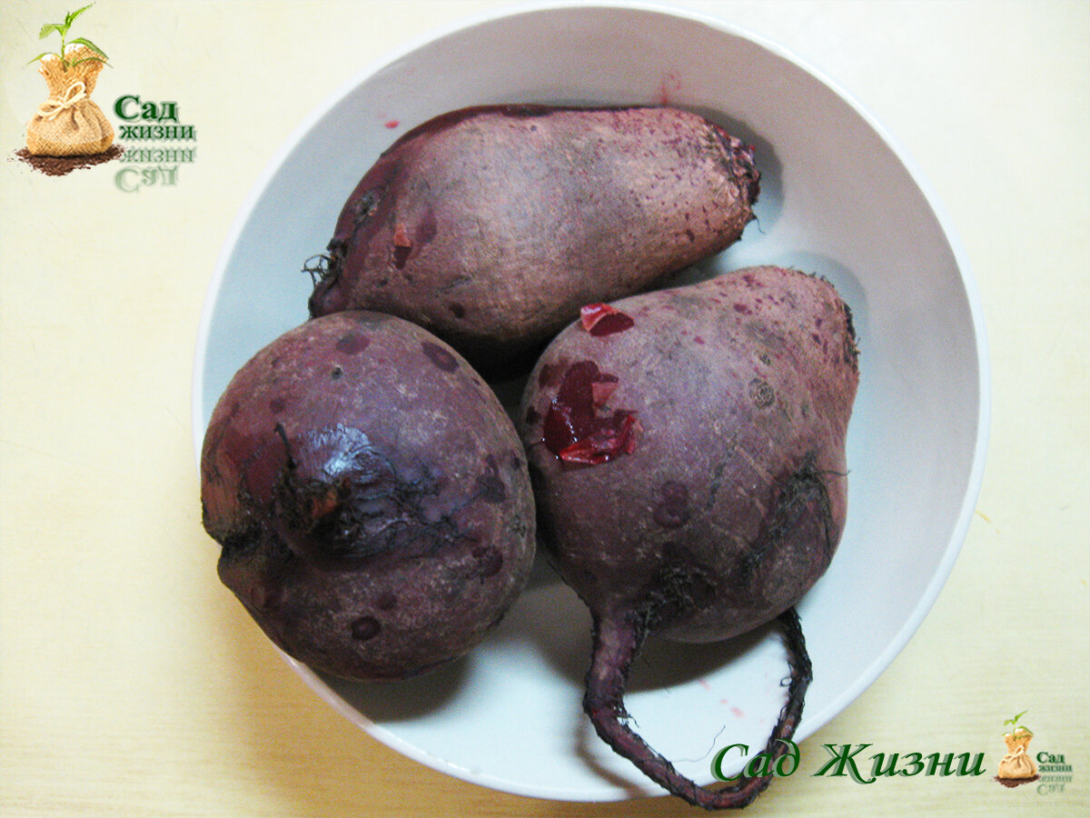 Как БЫСТРО приготовить простой салат из свеклы