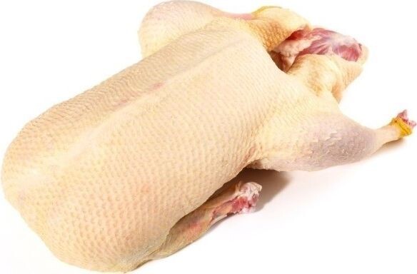 Пример тушки.