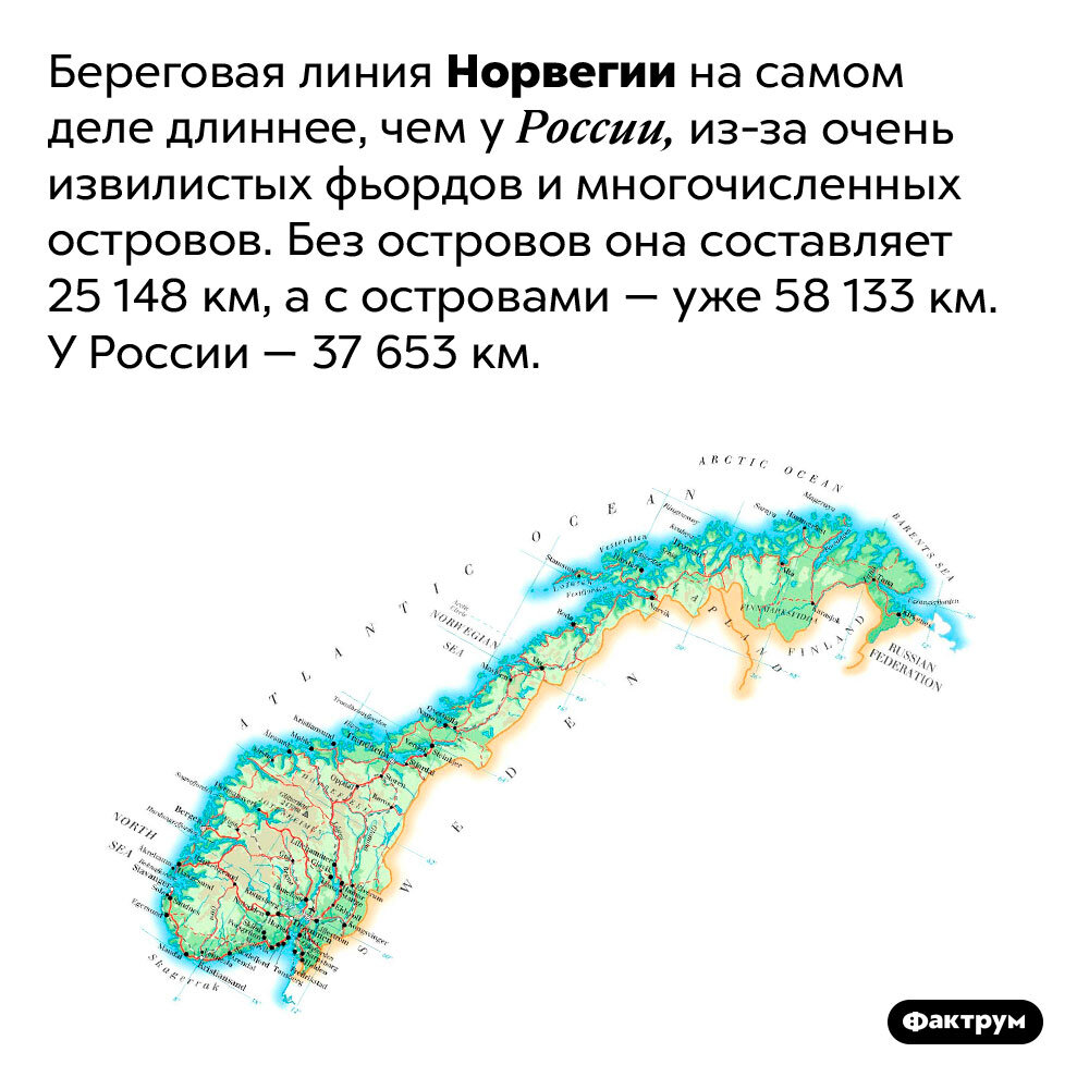 Подборка интересных фактов № 494 | Фактрум | Дзен