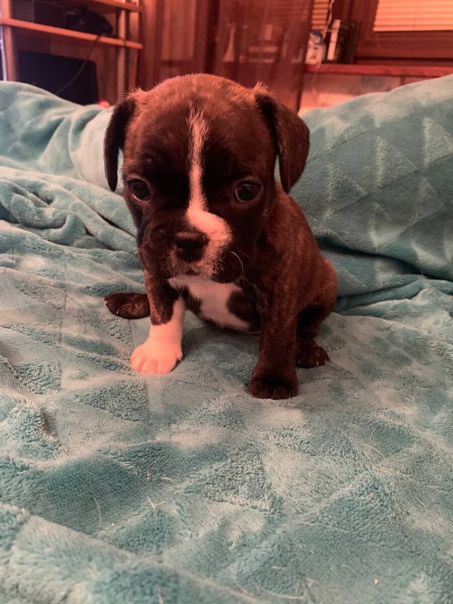 Фото из личного архива. Лаки