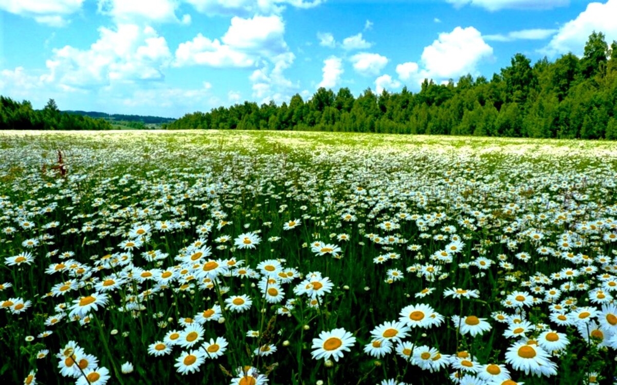 Источник: Яндекс картинки