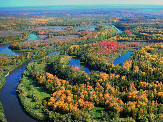  ФОТО: ДЕПАРТАМЕНТ ВНЕШНИХ СВЯЗЕЙ ЯНАО