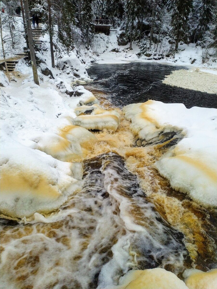 Вода на реке торфяная