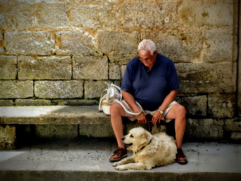 Фото: Joenomias, Pixabay