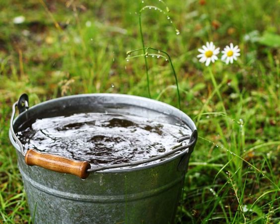 Изображение взято из открытых источников.