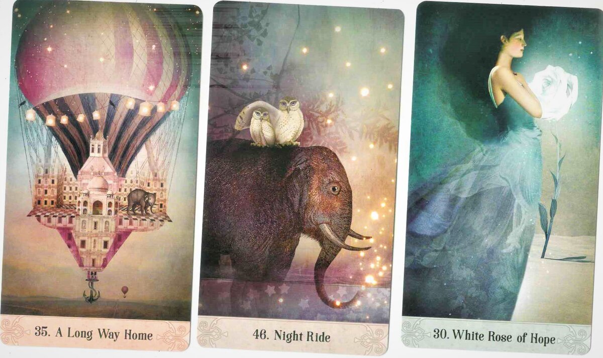 Рубашки карт оракул. Карты ленорман для начинающих. Месяц январь 2023. Оракул затмение галерея. Infinix 2023.