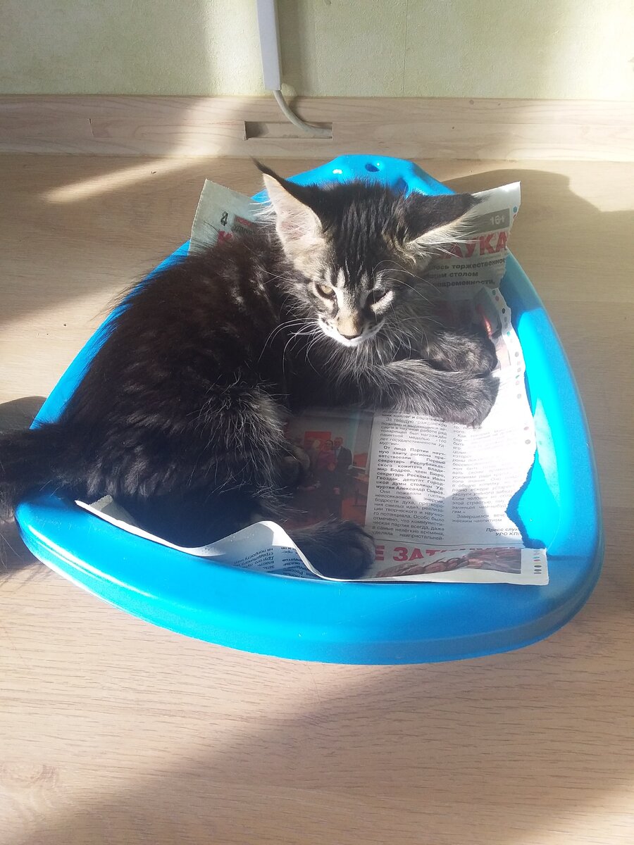 Ледянка, которая меня очень выручила (фото автора)