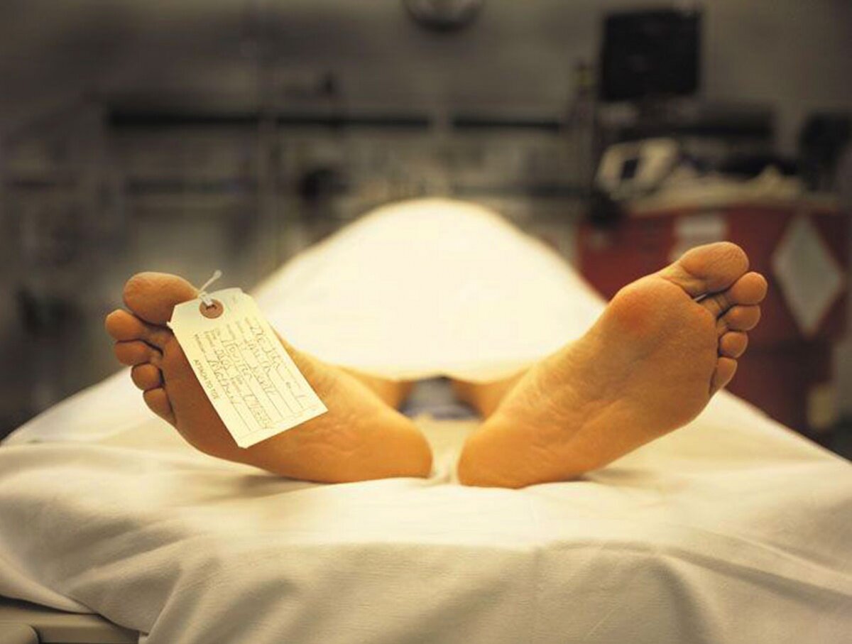 фото с свободного доступа