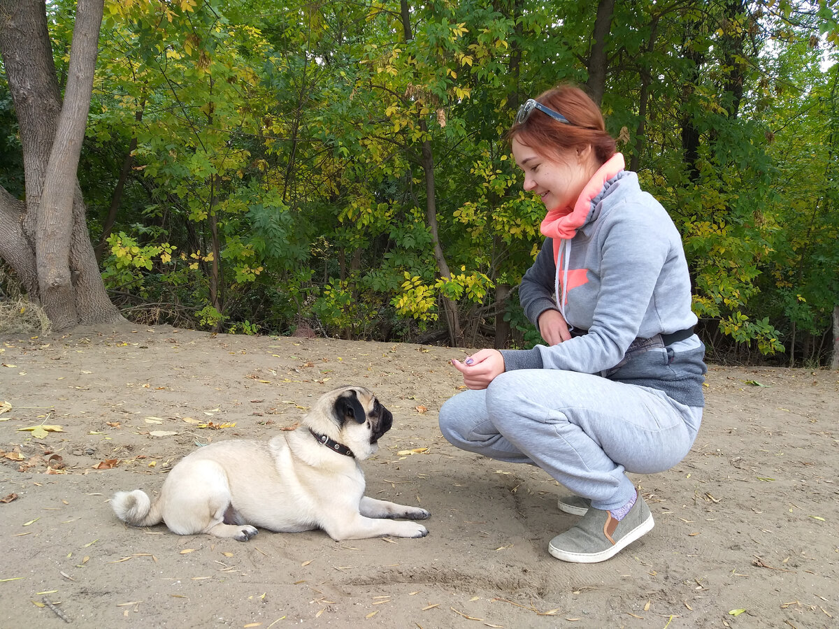 Маргарита и её домашний любимчик мопс Такер