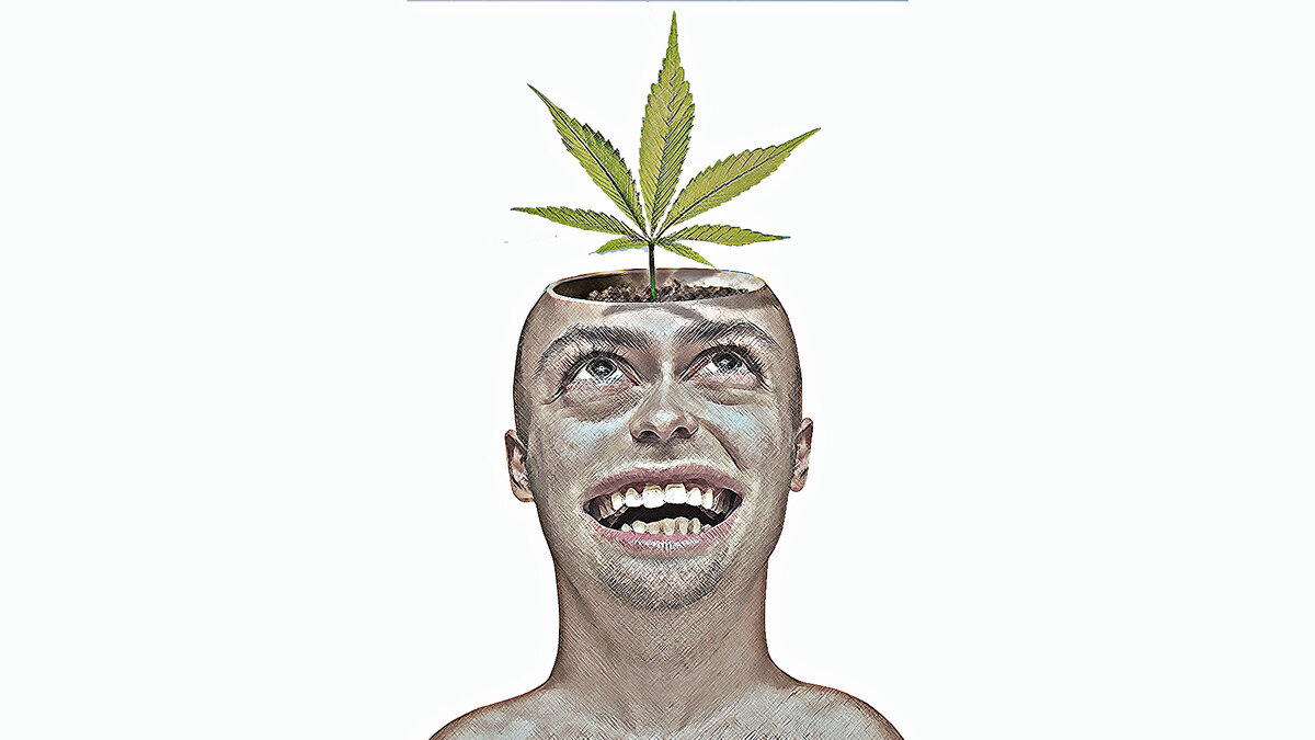 Играл мальчик на травке в машинку. Она сломалась. Сидит плачет. Подходит наркоман: - Мальчик, что такое?
- Колеса потерял я.
- Пойдем, я тебе свои дам.
- Не, мама сказала на травке сидеть.
- Б:::я, мне бы такую маму...