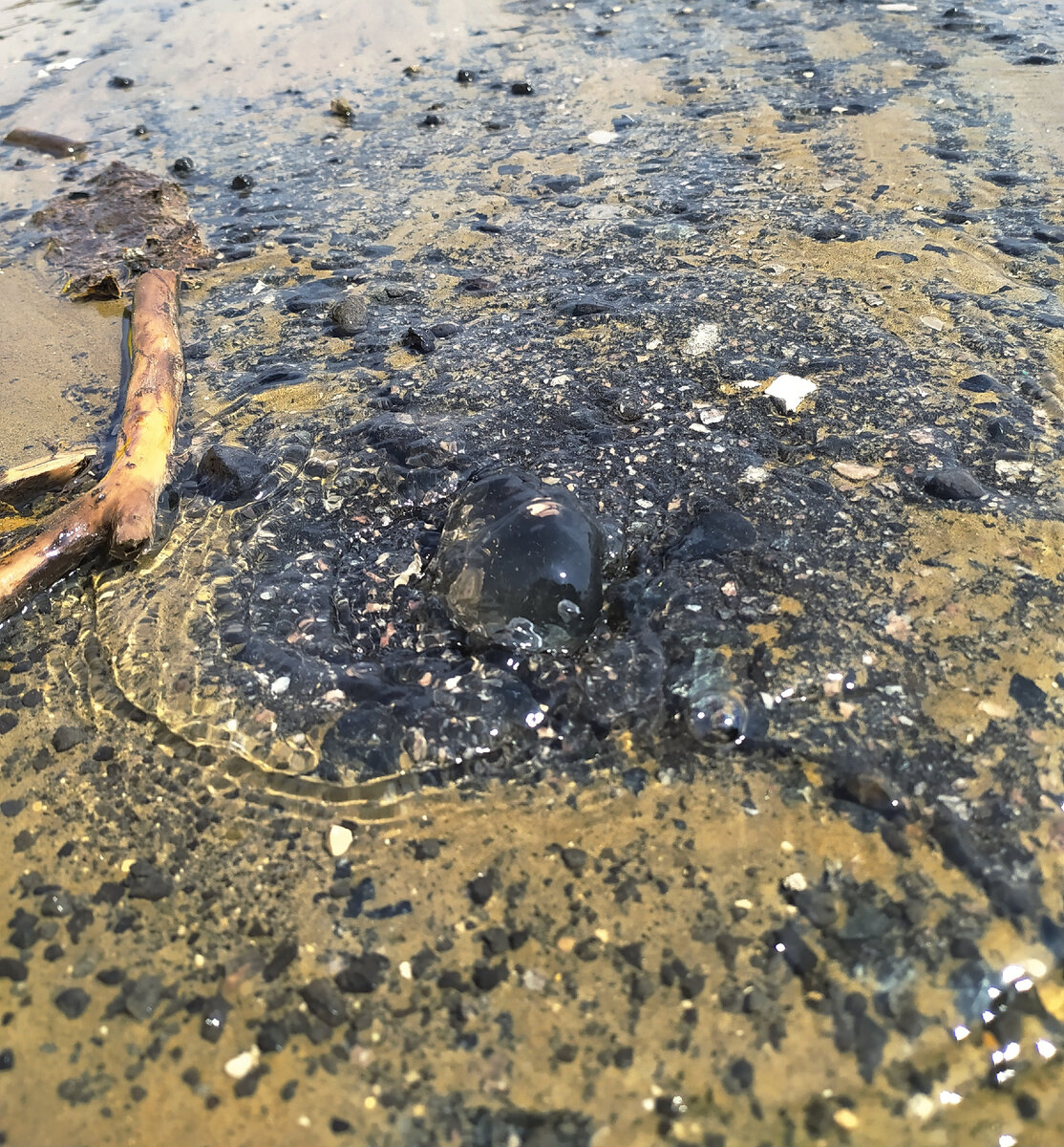 Родник, бьющий через разрушенное асфальтное покрытие