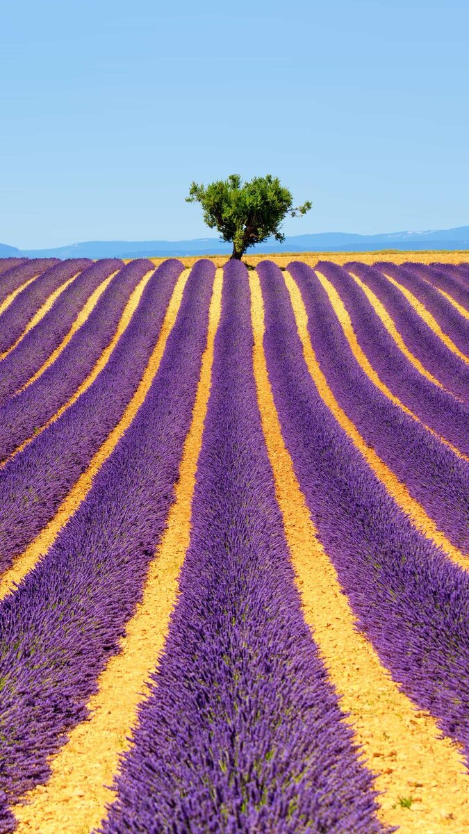 Так много интересного и смешного происходит в начале нашей рабочей карьеры. Обычно когда человек только устраиваться на какою нибудь работу, не важно по профессии или по случаю, попадает в ситуацию из которой не знает как выйти. Но, тут быстро находятся доброжелатели которые могут подсказать что делать. Из самых добрых побуждений, конечно же. Я кстати одна из таких. В общем, устроилась к нам в детский сад одна молоденькая, глупенькая, девочка. Воспитателем. Просто готовая мишень для приколов. Кормит с ложки ребенка. Ребенок поел и больше не хочет, наелся короче. Она подбегает ко мне и говорит: — А он больше не хочет! Говорю ей:— Сама доедай! Она:— Как? Я не хочу!!! Я ей:— У нас порядок такой! Не хочешь — иди к заведующей, спрашивай у нее разрешения не доедать. И пошла ведь! Я уже и пожалела, что сморозила такое, сижу, жду, думаю сейчас прилетит мне от заведующей втык. Возвращаться она с совсем очумевшим лицом, и говорит:— Я ей сказала, как вы велели.— И? — Она мне ответила — "оставь, я сама доем!"