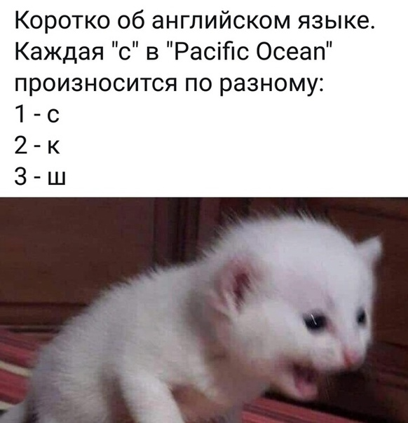 Издевательство какое-то!