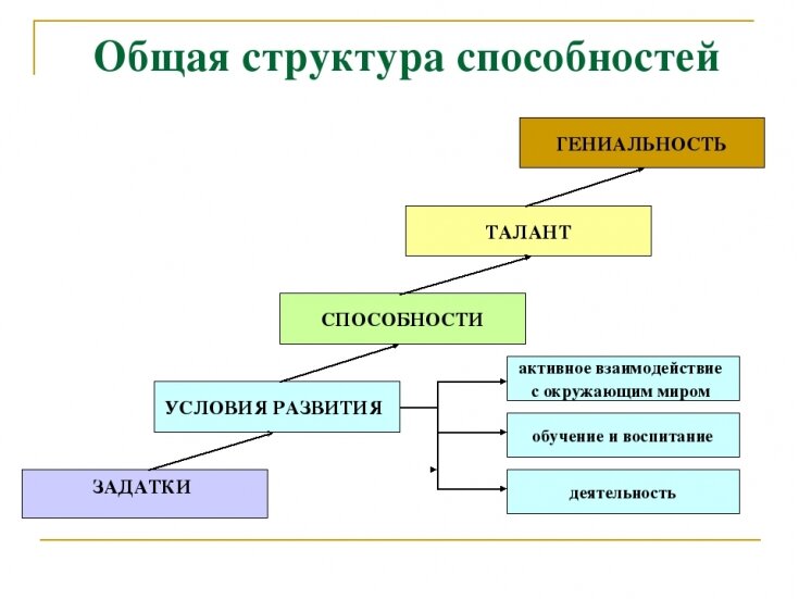 Способности и таланты: что важнее | ESTET-PORTAL | Дзен