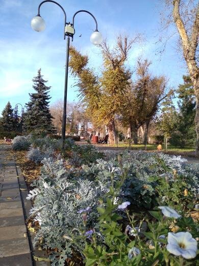 Декабрь 2020года Евпатория. Фото из личного архива