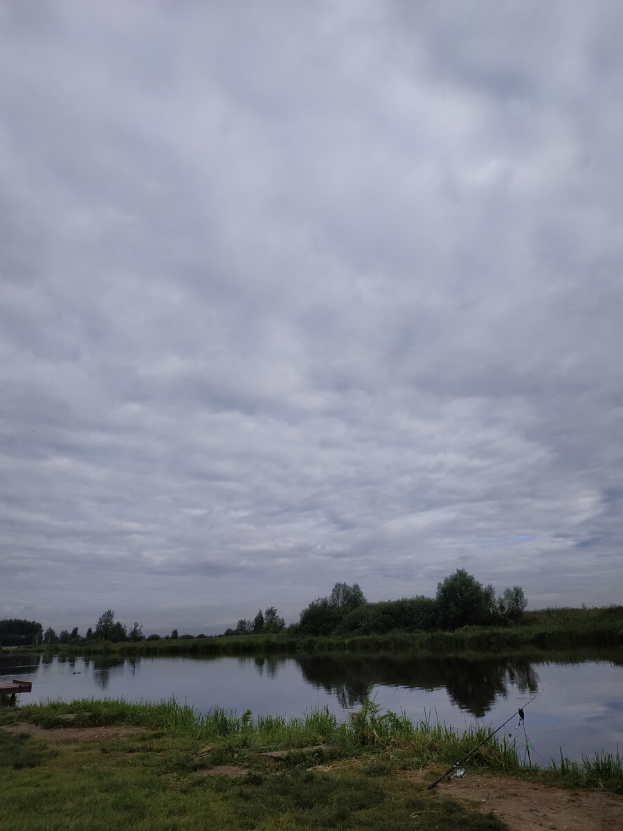 Стрелецкий ручей