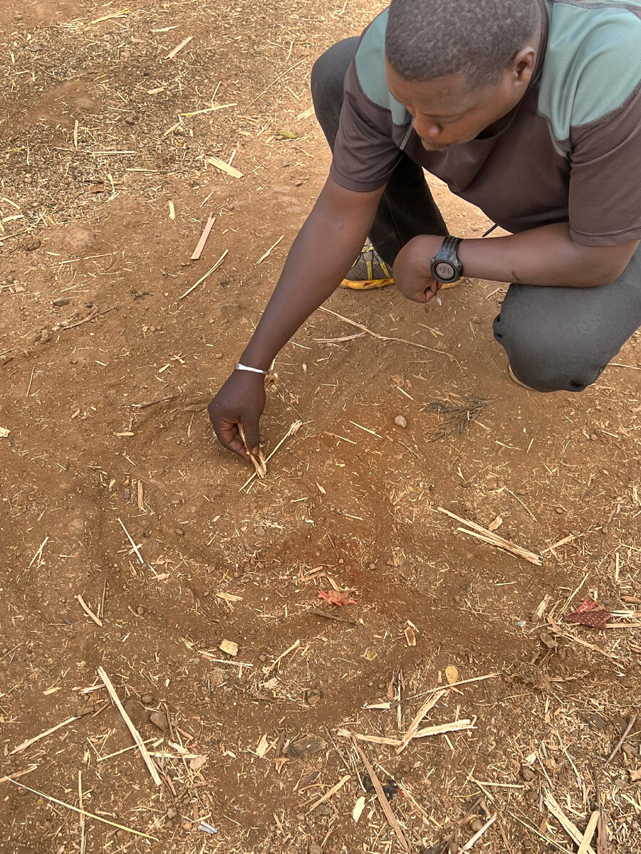 Мой гид Куси рисует схему деревни 