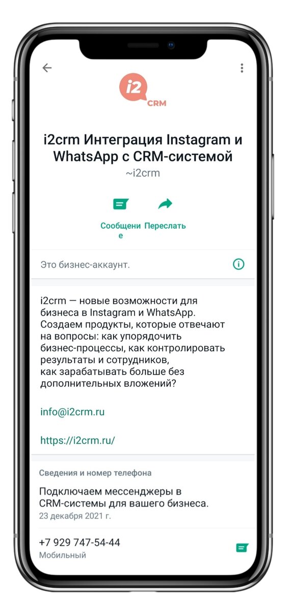 Пример того, как выглядит бизнес-профиль в WhatsApp.