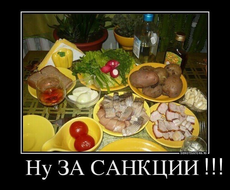 Что такое санкции простыми словами. Санкции на продукты. Демотиваторы про санкции. Что делать после санкций. Влияние санкций на экономику.