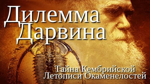 Дилемма Дарвина / Darwin's Dilemma (2009) - Документальный фильм