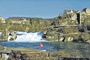 В бывшей «сточной канаве» Европы, как называли Рейн в прошлом веке, теперь появилась рыба. Фото Reuters