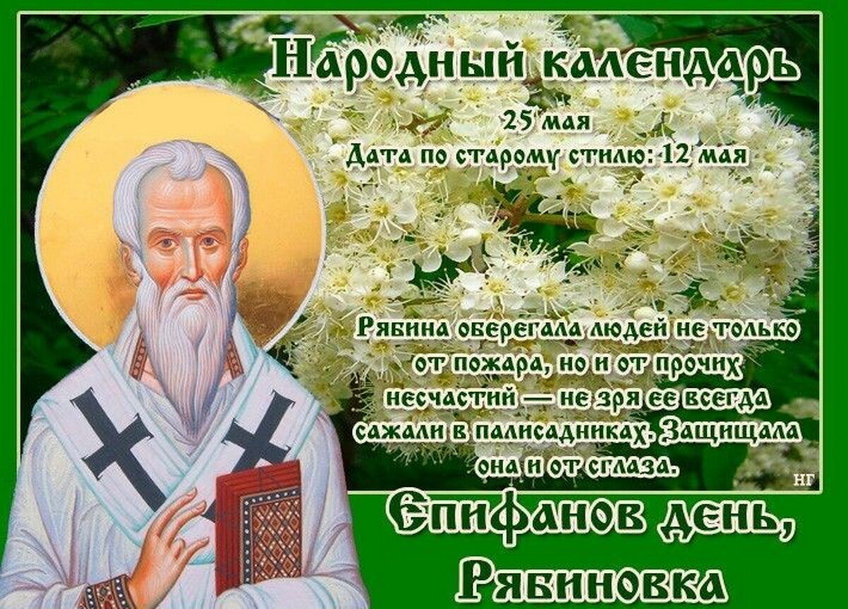 Народные приметы на 24 июня. Святой Епифаний, епископ кипрский. Епифанов день народный праздник. 25 Мая народный календарь. Епифанов день Рябиновка 25 мая.