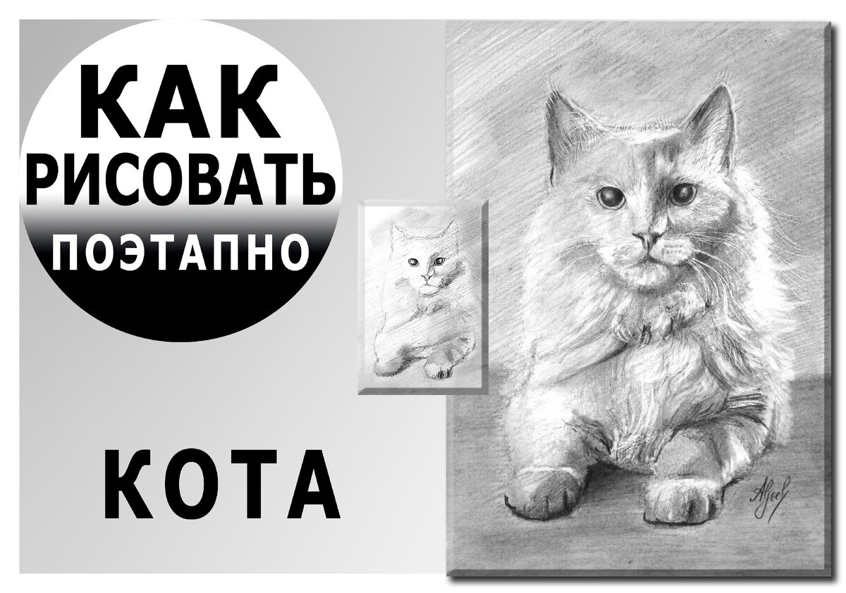 Как нарисовать кота?