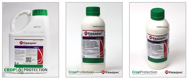 Фотографии упаковки препарата Квадрис, СК