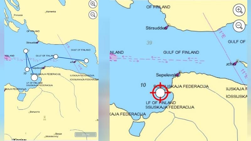    Фото: vk.com/sealrescue