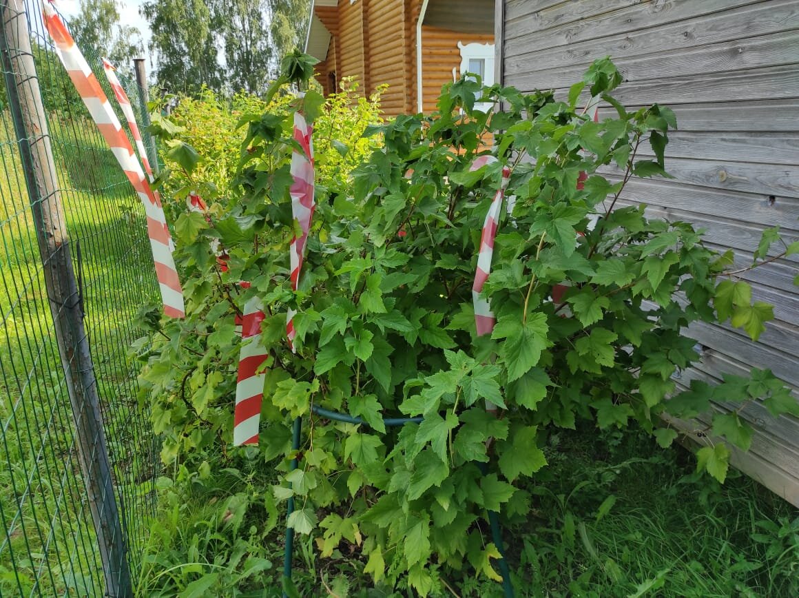 Фотография из личного архива