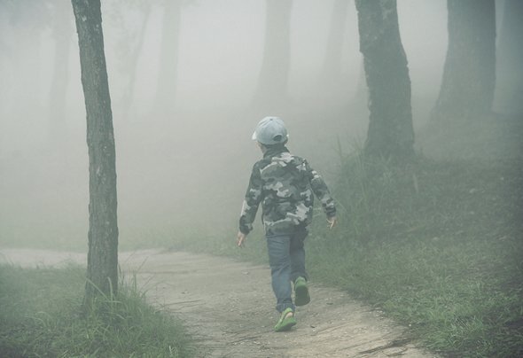    Фото: Parinya Feungchan / Shutterstock / Fotodom