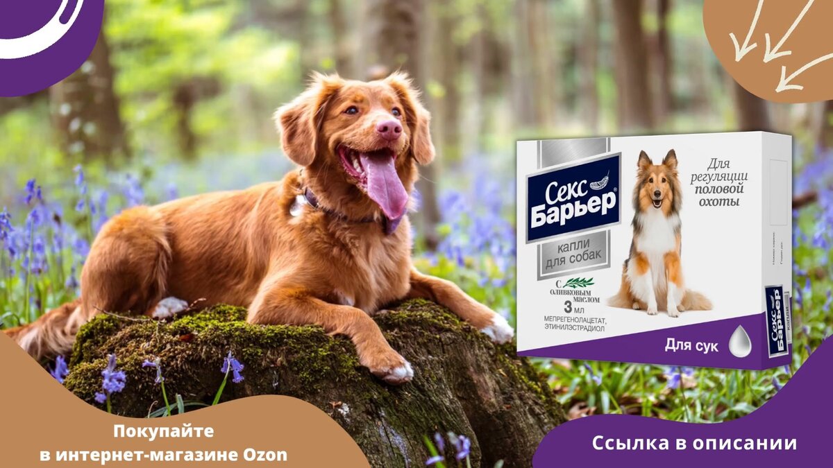 Капли СЕКС БАРЬЕР для собак