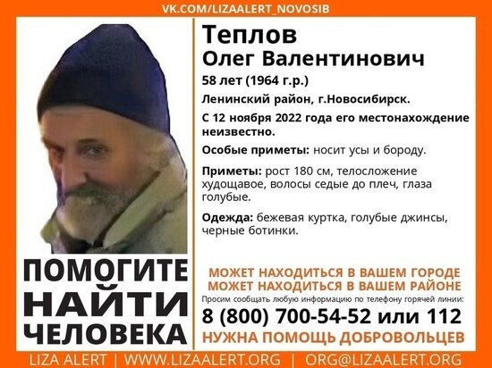     фото лизаалерт