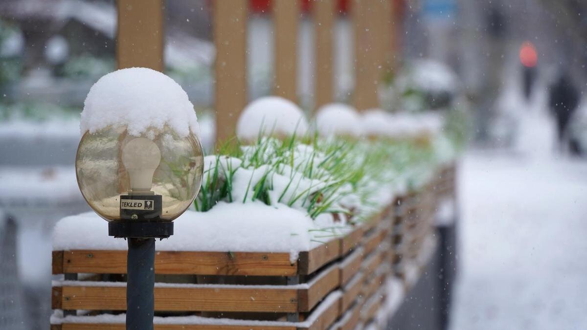    Снег в Алматы:NUR.KZ / Владимир Третьяков