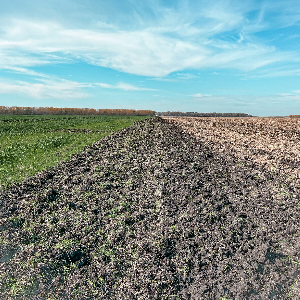 ПРОБЛЕМЫ ВЕСНЫ 2023 У НАС 