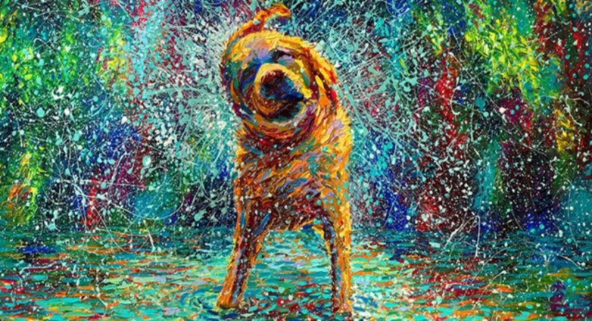 литература