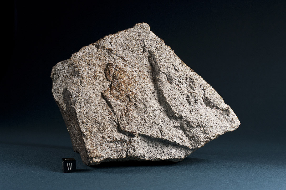 Каменный хондрит.Изображение взято с Яндекс-картинки