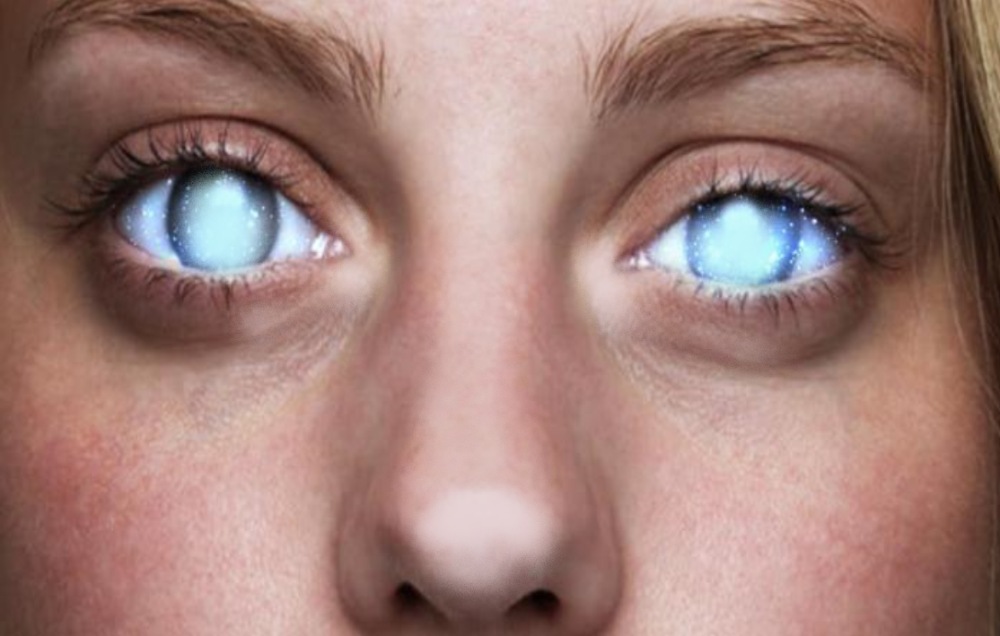 фото из поисковой системы.