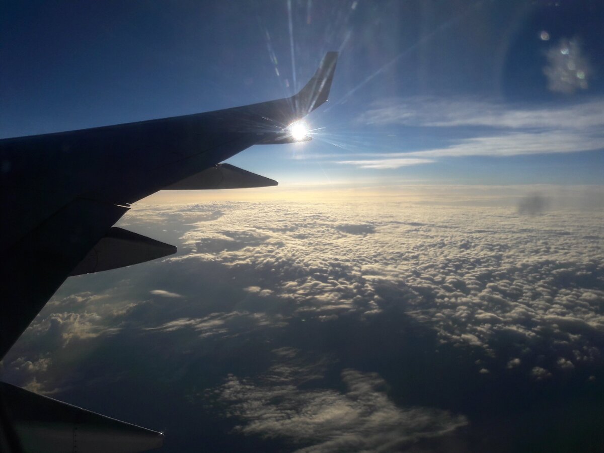 В гостях хорошо, а дома лучше. Летим домой!