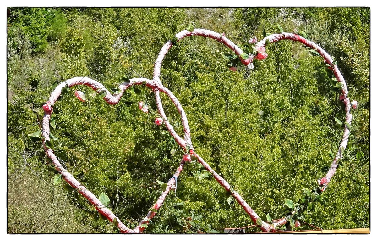 Фото из личного архива. 