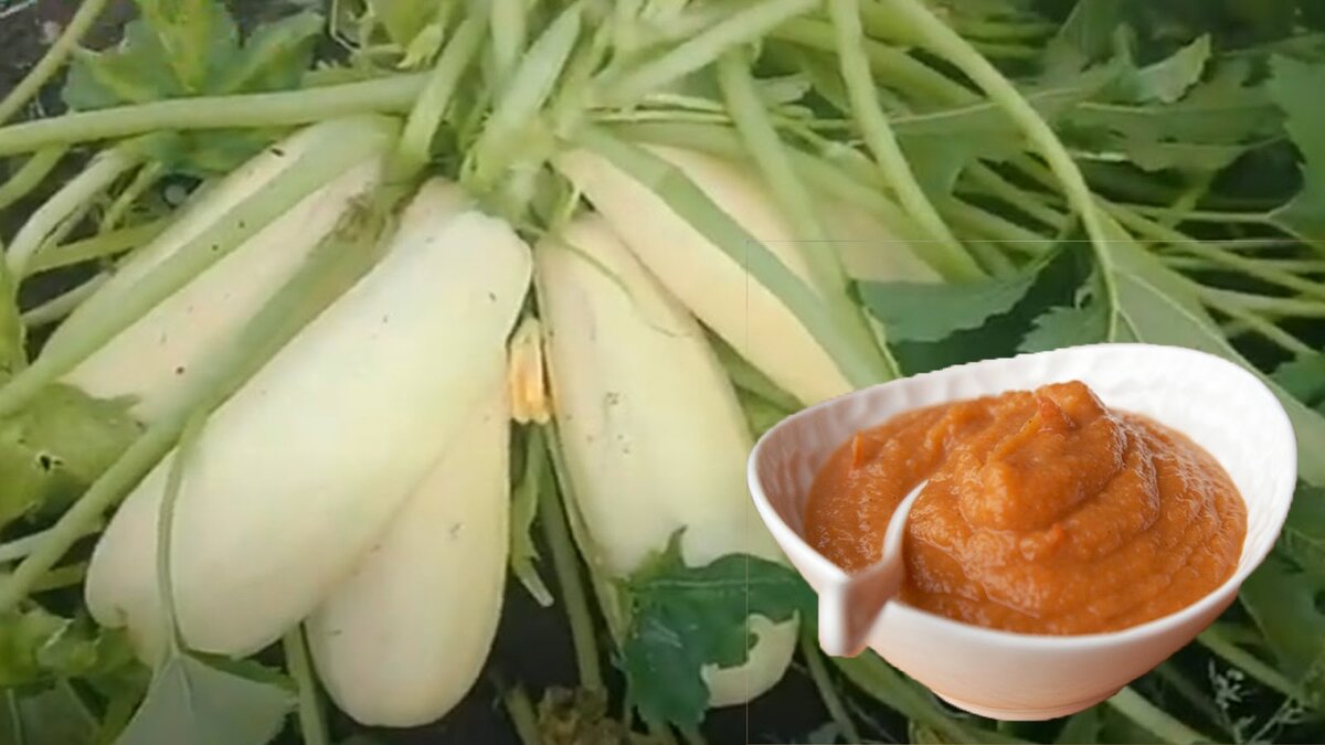 Не забывайте подписываться на канал, чтобы не пропустить новые статьи