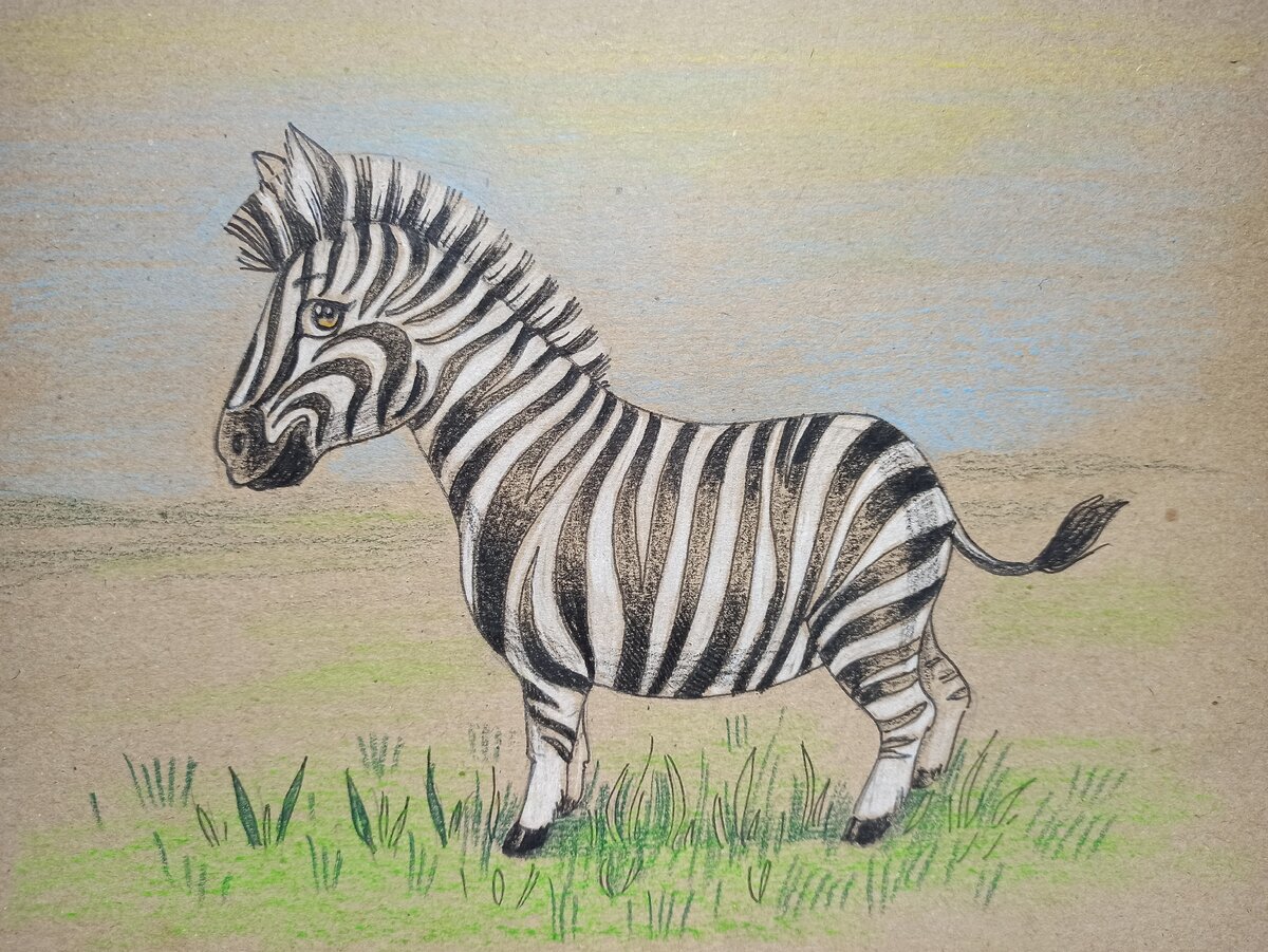 How to draw a zebra step by step. Simple drawing. Как нарисовать поэтапно зебру. Простой рисунок