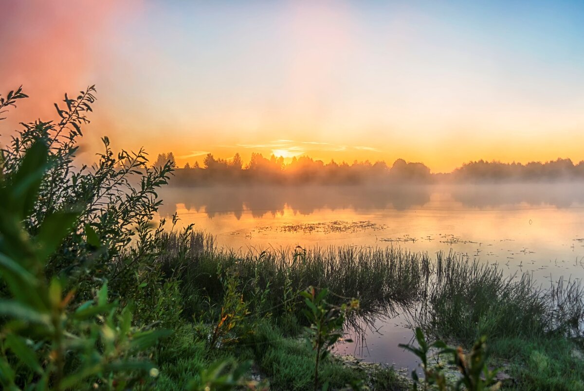 Фото: Яндекс