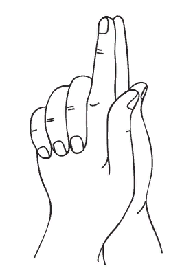 изображение с сайта Яндекс картинки -omkling.com - свободный доступ