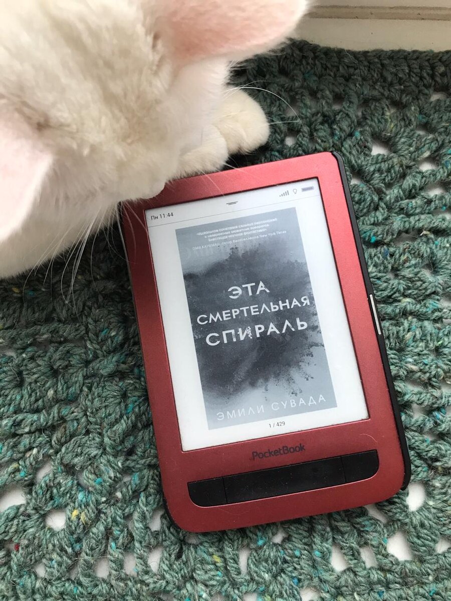 Мой кот очень хочет сниматься для книжного блога 