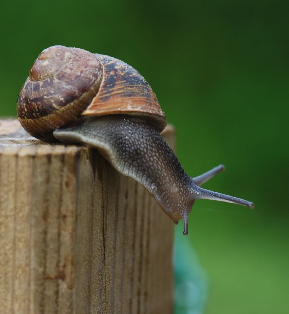 Фото Яндекс картинки