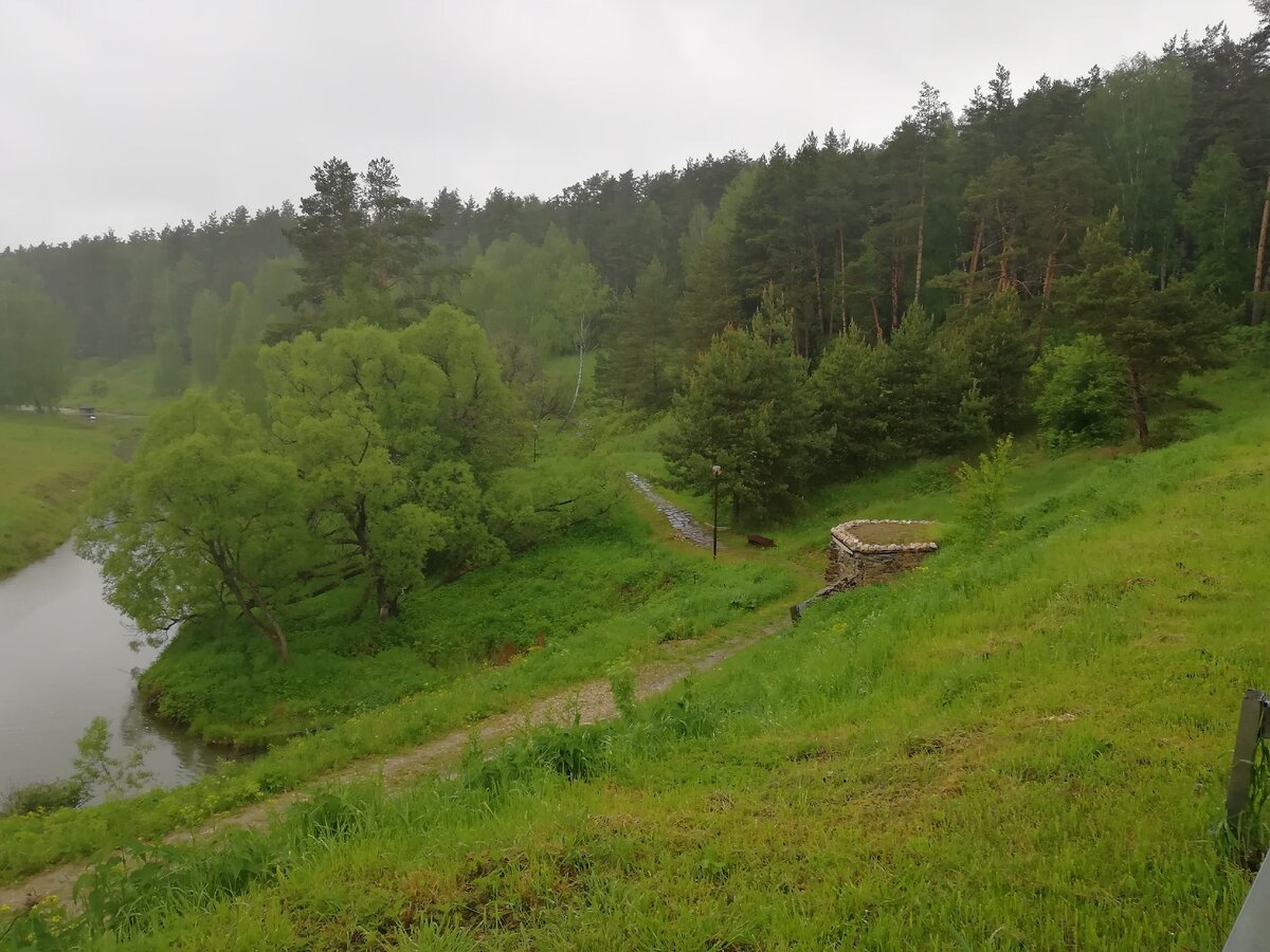 Подмосковная природа. Фото из личного архива