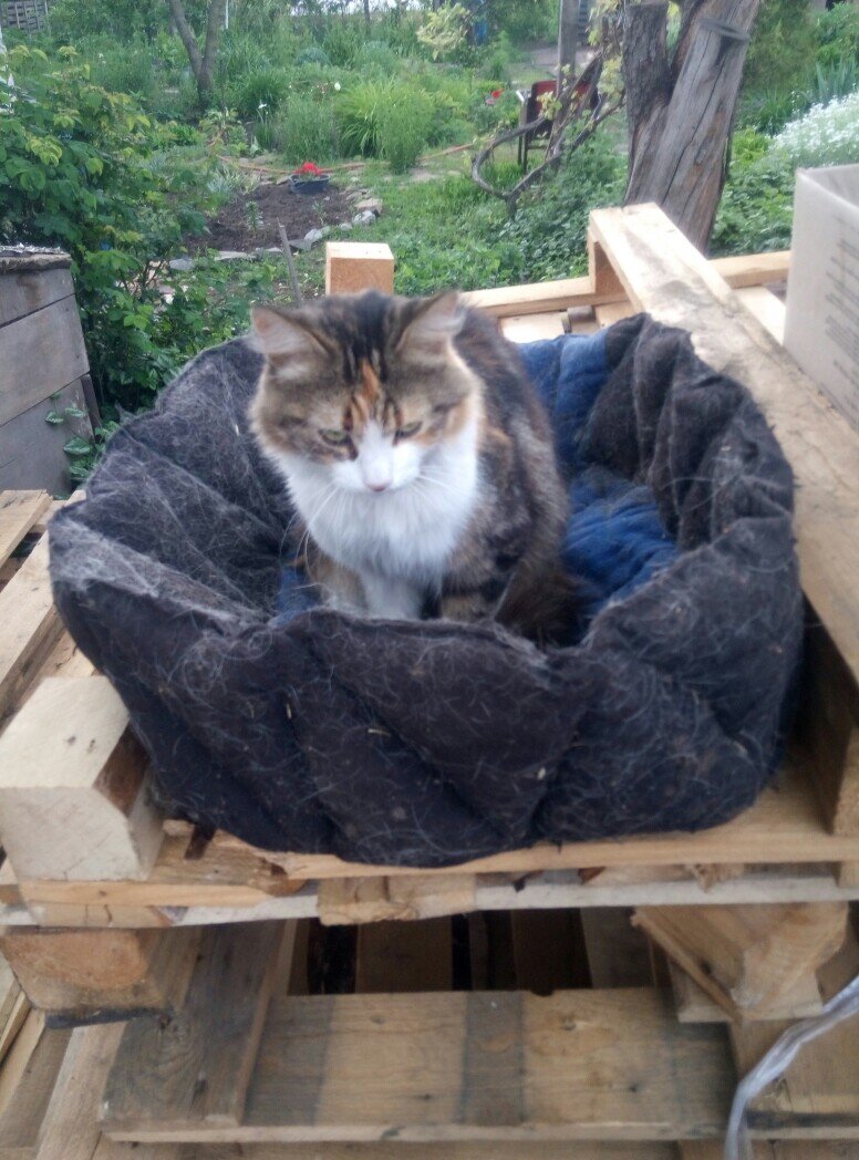 Вот у нее вид какой больной