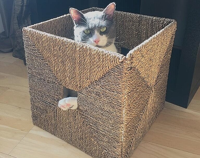 На фото Тихон он давно счастлив дома